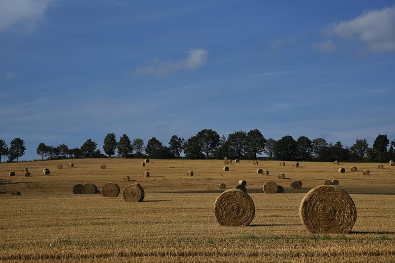 Cooperative Farming